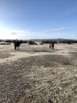 'Spire View'  New Forest Holiday Home - 3 minutes walk to the open forest