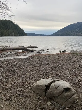 Galbraith Mountain Forest Escape