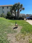 Heart of Lake LBJ - Premier Location!