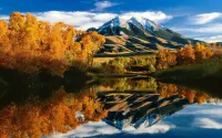 Cozy, Rustic Cabins near Chico Hot Springs & only 35 mins to YELLOWSTONE PARK!!