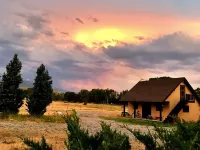 AFFORDABLE Glorified Basecamp -"The Bird House" Hotels in Pray