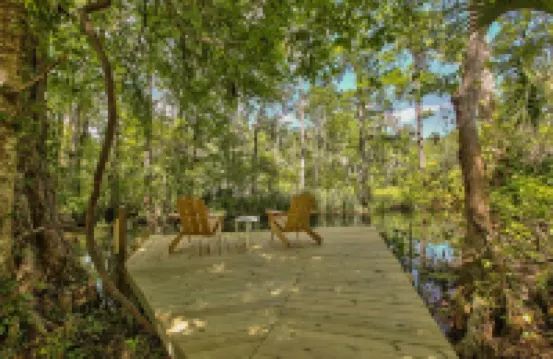 Watch the Manatees Swim by from This Peaceful Retreat with a Private Dock