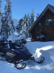 Bear Valley Alpine Cabin-3bdrm2bth