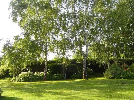 Stone house in a quiet park, 20 minutes from St Emilion and Bordeaux