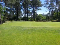 WOODEN CHALET IN THE MIDDLE OF THE FOREST Hotels in Biscarrosse