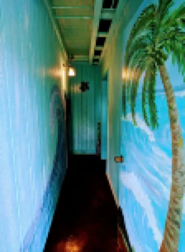 Rain Forest Apartment!