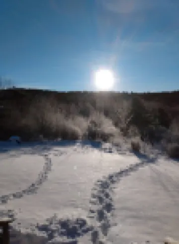 Mountain Queen Log Cabin