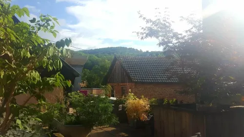 Appartement Moderne au Coeur de Munster Hotels in Munster