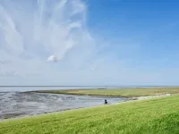 Stadtnah, Eigener Garten, Ruhig