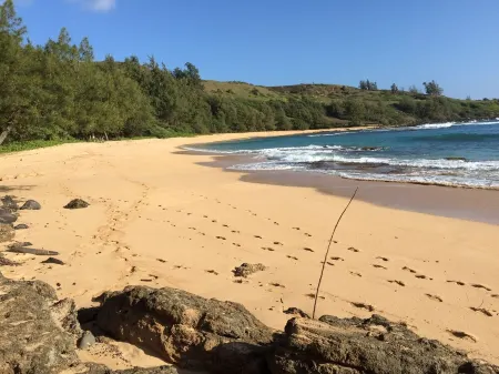 Gilligan's-secluded air-conditioned Cottage Near Gorgeous Beach--TVNC-4189