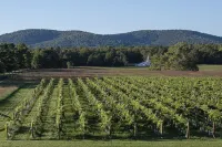 Charming Cottage on beautiful Farm & Vineyard