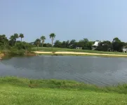 "Saintly" at Sea Palms 18th Green
