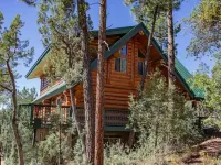 New Build Modern Log Cabin in the Heart of Pine on 2 acres of secluded Forest Hotels in Pine