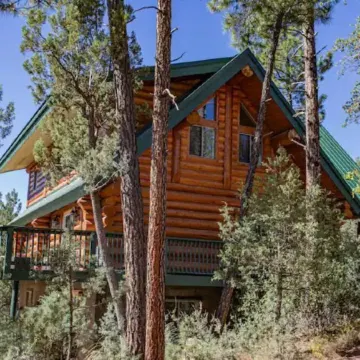 New Build Modern Log Cabin in the Heart of Pine on 2 acres of secluded Forest