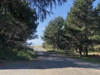 Gorgeous Oak & Cedar House 1/2 Block from Manzanita Beach!