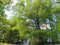 New and Modern East Hampton Summer Home w/ Pool