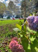 Historic Luxury! Pet OK! 1 Mile to Beach! Patio-Firepit-2KingSuites