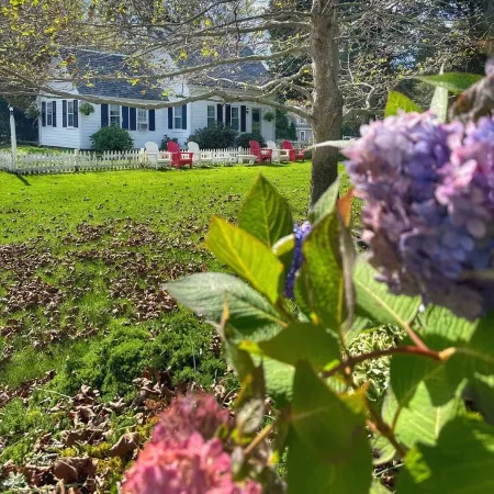 Historic Luxury! Pet OK! 1 Mile to Beach! Patio-Firepit-2KingSuites