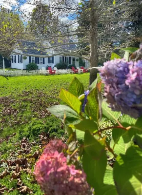 Historic Luxury! Pet OK! 1 Mile to Beach! Patio-Firepit-2KingSuites Hotels near Cape Cod Museum Of Natural History