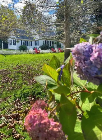 Historic Luxury! Pet OK! 1 Mile to Beach! Patio-Firepit-2KingSuites