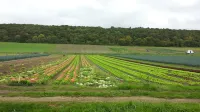 At the foot of the Abbey in the heart of a small village and 9 km from Rouen