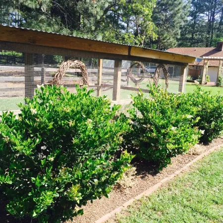 Tanglewood Farm - Fox Den Suite 1 Br/1BA Private Apartment on Horse Farm