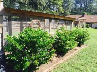 Tanglewood Farm - Fox Den Suite 1 Br/1BA Private Apartment on Horse Farm