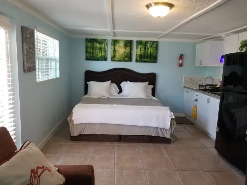 Beautiful Detached Remodeled Cottage Studio/ Downtown Palm Harbor.NON FLOOD Zone