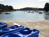 cottage swallows