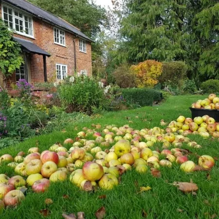 Orchard Barn Spa, exclusively for you, New Forest
