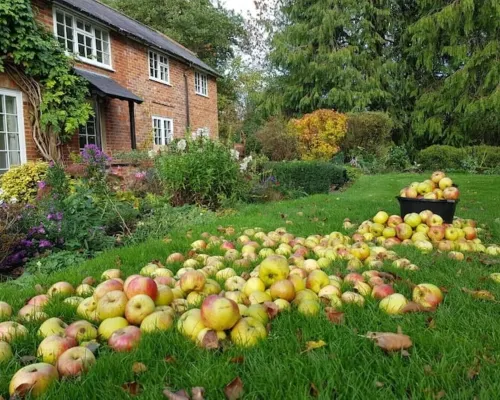 Orchard Barn Spa, exclusively for you, New Forest Hotels in Fordingbridge