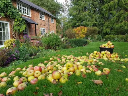 Orchard Barn Spa, exclusively for you, New Forest