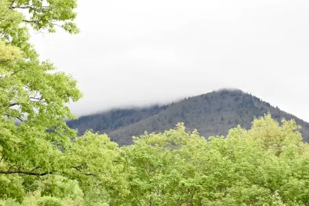 Secluded Mountain 4 Bedroom Cabin