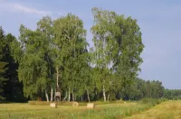 NEW - Cottage on the lake only 750m forest path to Libbesickesee