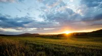Surrounded by quiet fields and woods