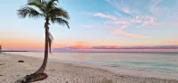NEW Stunning Beachfront Condo at the Coral Beach - Strand