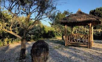 Mas à Cheval-Blanc en Provence