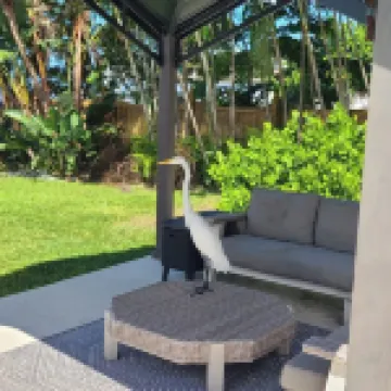 On the Gulf! Luxury 4/3 with 2 Master Bedrooms, Pool and Spa and Dock!