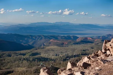 Giant Steps Ski In Ski Out - Remodeled - Sleeps 8