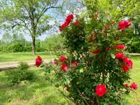Georgie's Getaway!  Beautiful stay on 6 acres just minutes from the lakeside