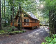 Relaxing Cabin Adjacent Olympic National Park / Forest & Beautiful Lake Cushman!