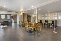 Comfort Inn & Suites Liverpool - Syracuse North Hotels in Salina