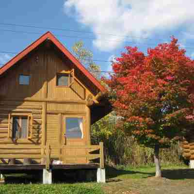 Log Cottage Himawari Hotel Exterior