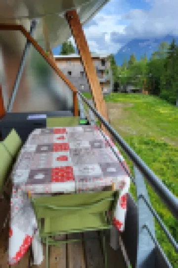 V du Bachat Asters B