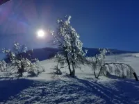 cottage of guery 6 people