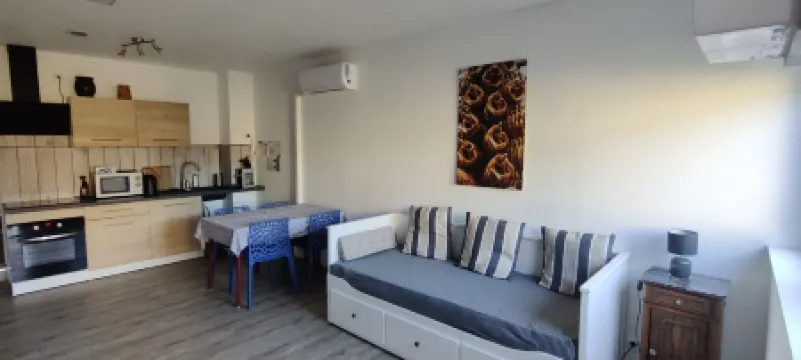 Apartment on the wine route