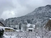 Hotel Bon Accueil Hotel a Bellignat