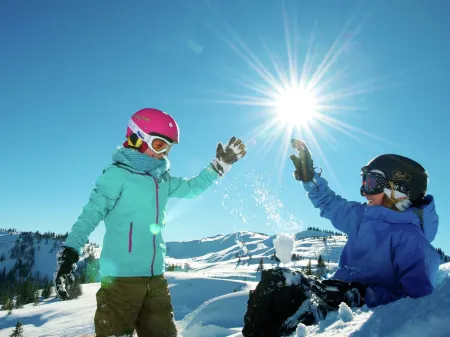 Apartment in Dienten Near Ski Lift