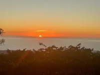 Mango Sunset Bed and Breakfast Hotels in Kailua-Kona