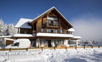 Apartment in Alps Near Ski Slopes